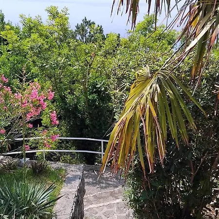 Klaja Summerbay Apartment *
